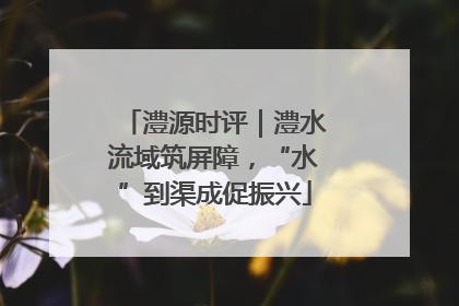 澧源时评｜澧水流域筑屏障，“水”到渠成促振兴