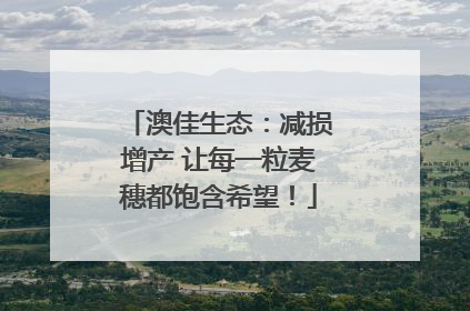 澳佳生态：减损增产 让每一粒麦穗都饱含希望！