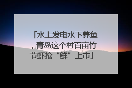 水上发电水下养鱼，青岛这个村百亩竹节虾抢“鲜”上市