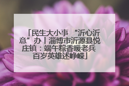 民生大小事 “沂心沂意”办丨淄博市沂源县悦庄镇：端午粽香暖老兵 百岁英雄述峥嵘