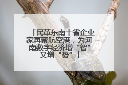 民革东南十省企业家再聚航空港，为河南数字经济增“智”又增“势”