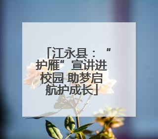 江永县：“护雁”宣讲进校园 助梦启航护成长