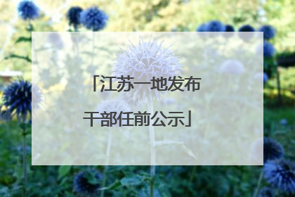 江苏一地发布干部任前公示