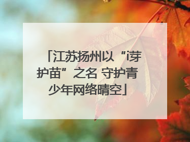 江苏扬州以“i芽护苗”之名 守护青少年网络晴空