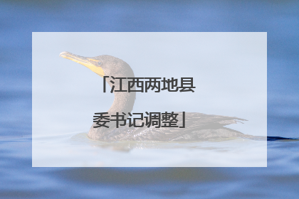 江西两地县委书记调整