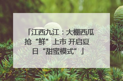江西九江：大棚西瓜抢“鲜”上市 开启夏日“甜蜜模式”