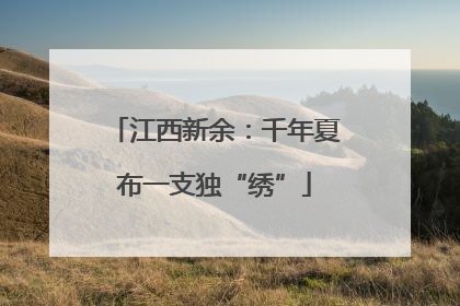江西新余：千年夏布一支独“绣”