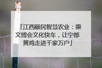 江西颐民智慧农业：乘文博会文化快车，让宁都黄鸡走进千家万户