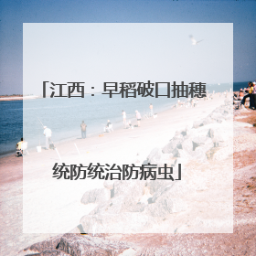 江西：早稻破口抽穗 统防统治防病虫