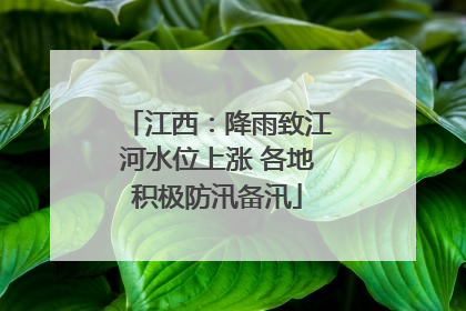 江西：降雨致江河水位上涨 各地积极防汛备汛