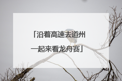 沿着高速去道州 一起来看龙舟赛