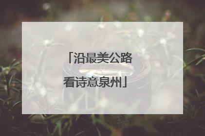 沿最美公路 看诗意泉州