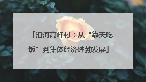 沿河高峰村：从“靠天吃饭”到集体经济蓬勃发展