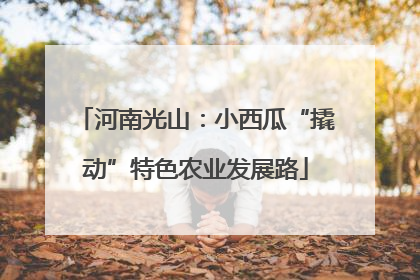 河南光山：小西瓜“撬动”特色农业发展路