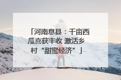 河南息县：千亩西瓜喜获丰收 激活乡村“甜蜜经济”