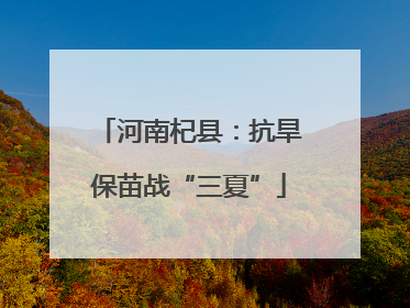 河南杞县：抗旱保苗战“三夏”