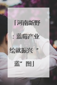 河南新野：蓝莓产业绘就振兴“蓝”图
