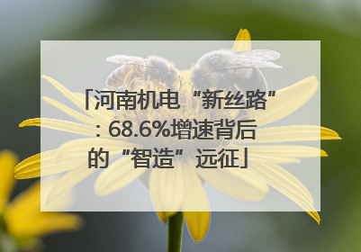 河南机电“新丝路”：68.6%增速背后的“智造”远征