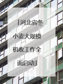 河北省冬小麦大规模机收工作全面启动