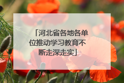 河北省各地各单位推动学习教育不断走深走实