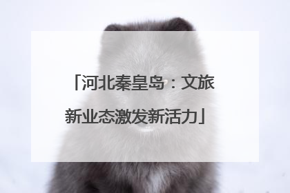 河北秦皇岛：文旅新业态激发新活力