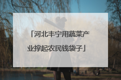 河北丰宁用蔬菜产业撑起农民钱袋子