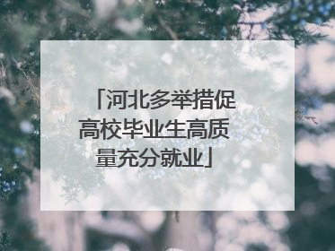 河北多举措促高校毕业生高质量充分就业