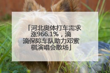 河北奥体打车需求涨966.1%，滴滴保障车队助力邓紫棋演唱会散场