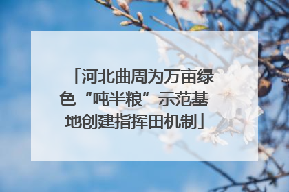河北曲周为万亩绿色“吨半粮”示范基地创建指挥田机制