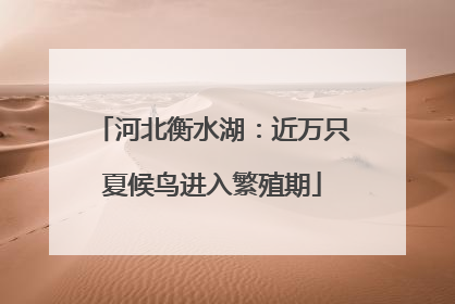 河北衡水湖：近万只夏候鸟进入繁殖期
