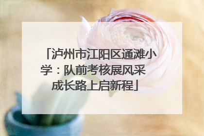 泸州市江阳区通滩小学：队前考核展风采 成长路上启新程