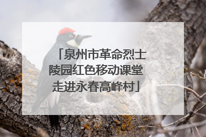 泉州市革命烈士陵园红色移动课堂走进永春高峰村