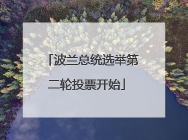 波兰总统选举第二轮投票开始
