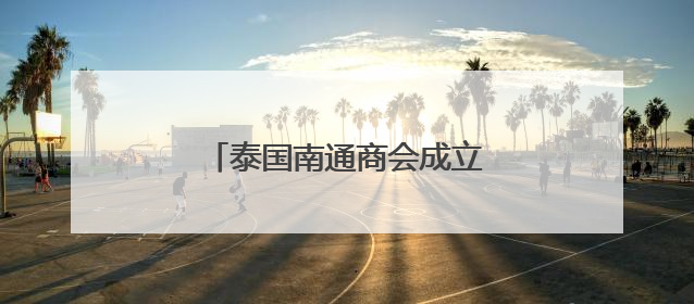 泰国南通商会成立 华人社团添新军