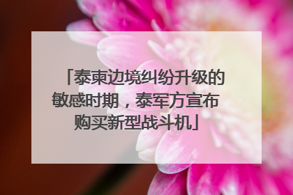 泰柬边境纠纷升级的敏感时期，泰军方宣布购买新型战斗机