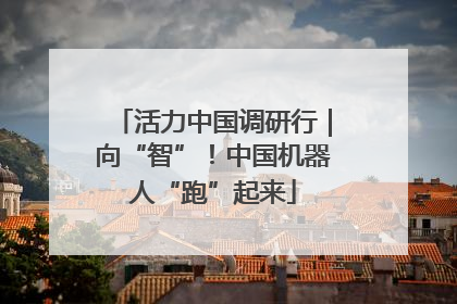 活力中国调研行｜向“智”！中国机器人“跑”起来
