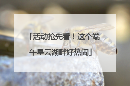 活动抢先看！这个端午星云湖畔好热闹