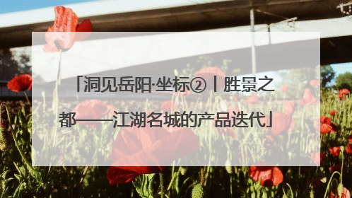 洞见岳阳·坐标②丨胜景之都——江湖名城的产品迭代