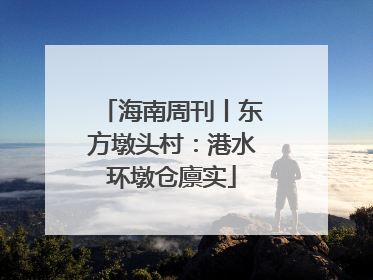 海南周刊丨东方墩头村：港水环墩仓廪实