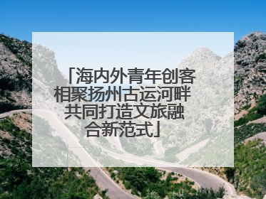 海内外青年创客相聚扬州古运河畔 共同打造文旅融合新范式