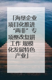 海垦企业项目化推进“两非”专项整改复耕工作 规模化发展特色产业