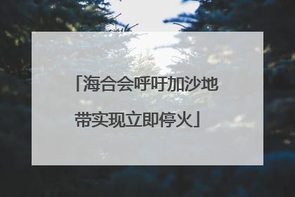 海合会呼吁加沙地带实现立即停火