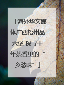 海外华文媒体广西梧州品六堡 探寻千年茶香里的“乡愁味”