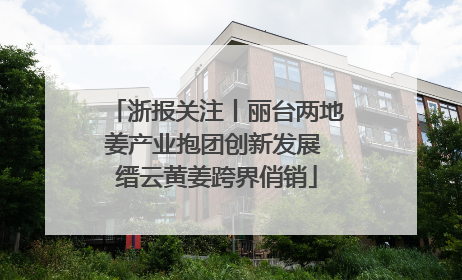 浙报关注丨丽台两地姜产业抱团创新发展 缙云黄姜跨界俏销