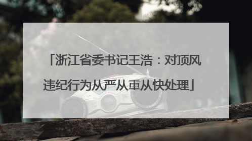 浙江省委书记王浩：对顶风违纪行为从严从重从快处理