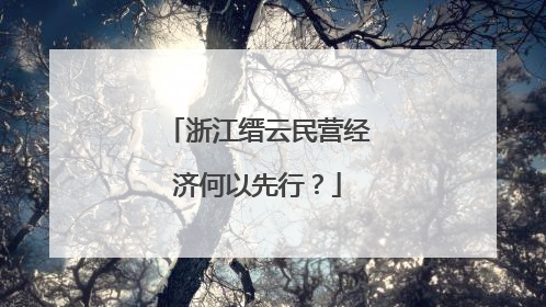 浙江缙云民营经济何以先行？