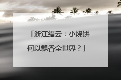 浙江缙云：小烧饼何以飘香全世界？