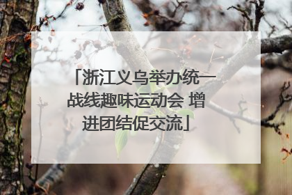 浙江义乌举办统一战线趣味运动会 增进团结促交流