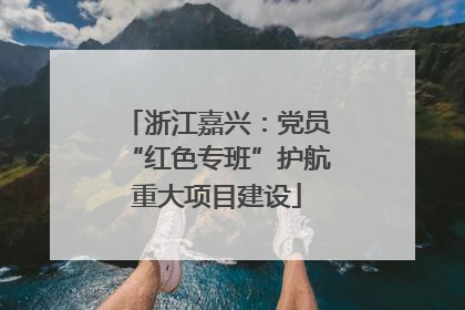 浙江嘉兴：党员“红色专班”护航重大项目建设