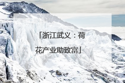浙江武义：荷花产业助致富